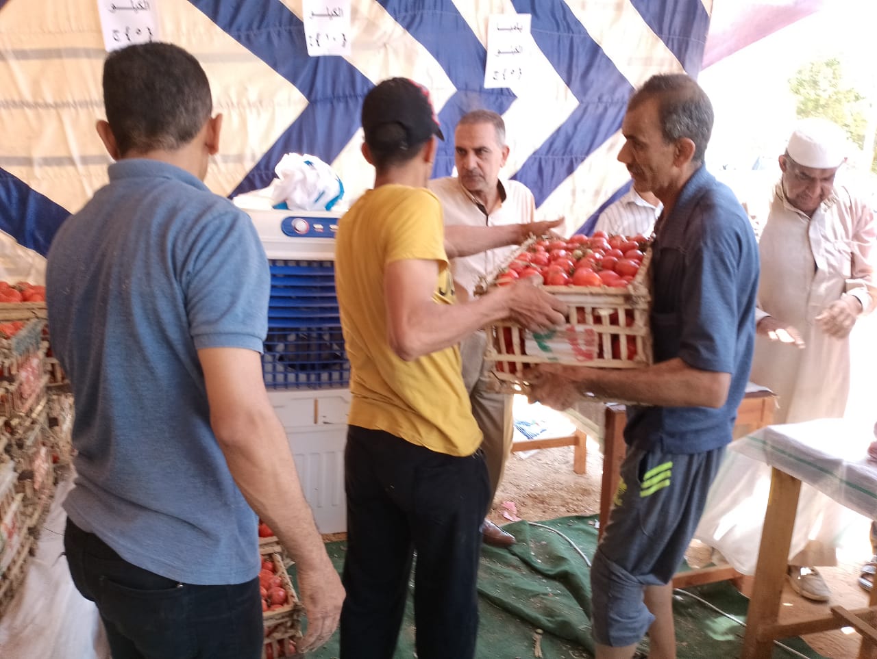 توفير الخضروات والفواكه بأسعار مخفضة في منافذ بيع الوحدة المحلية بالداخلة