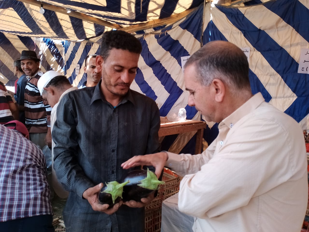 توفير الخضروات والفواكه بأسعار مخفضة في منافذ بيع الوحدة المحلية بالداخلة