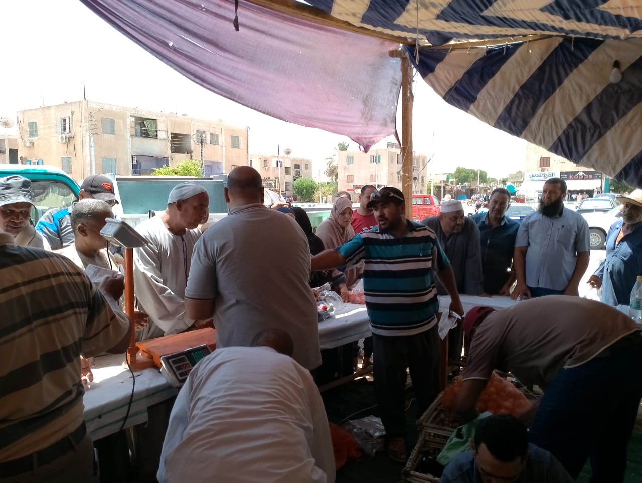 توفير الخضروات والفواكه بأسعار مخفضة في منافذ بيع الوحدة المحلية بالداخلة