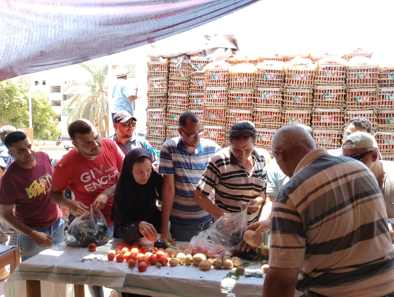 توفير الخضروات والفواكه بأسعار مخفضة في منافذ بيع الوحدة المحلية بالداخلة