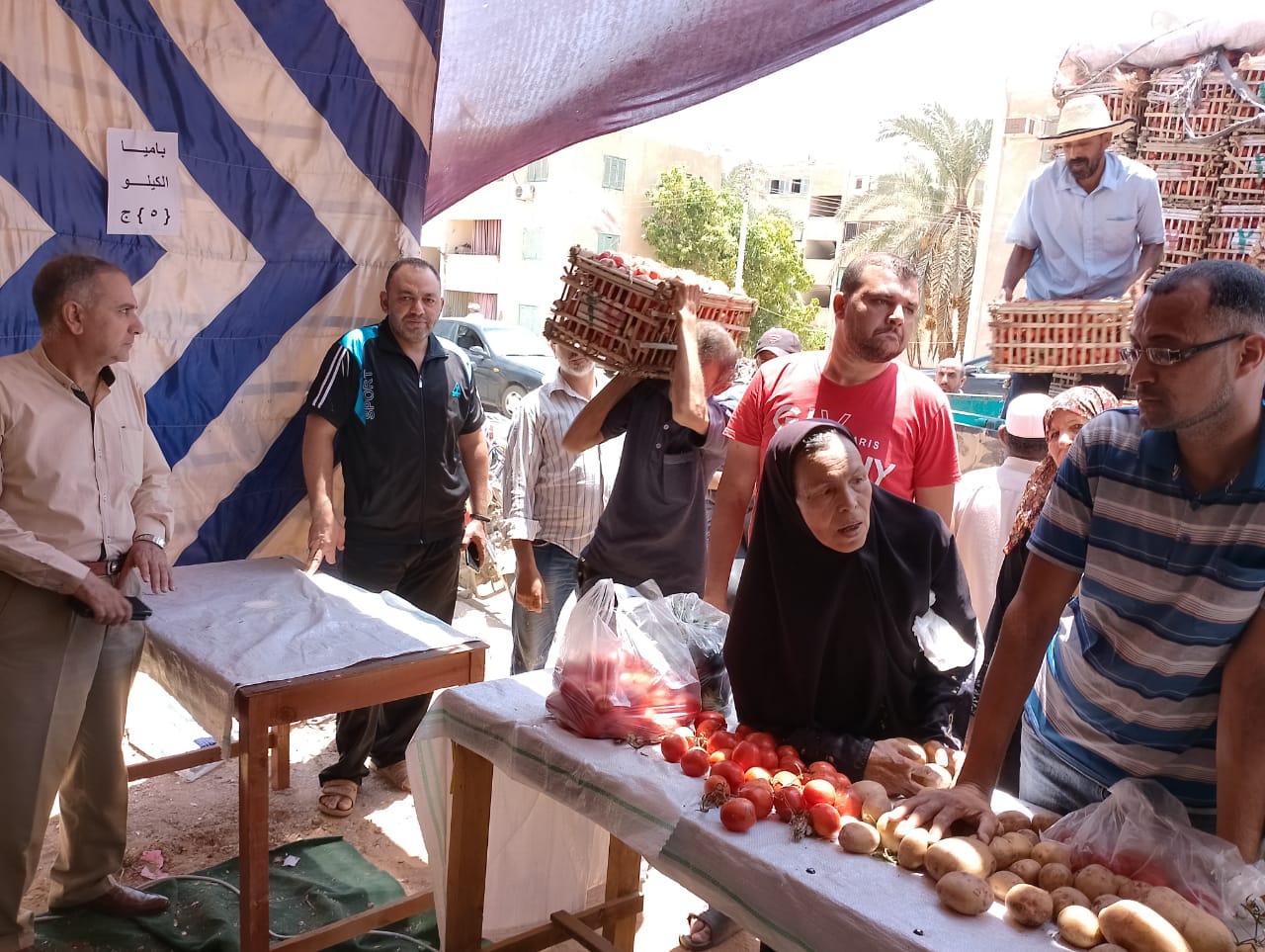 توفير الخضروات والفواكه بأسعار مخفضة في منافذ بيع الوحدة المحلية بالداخلة