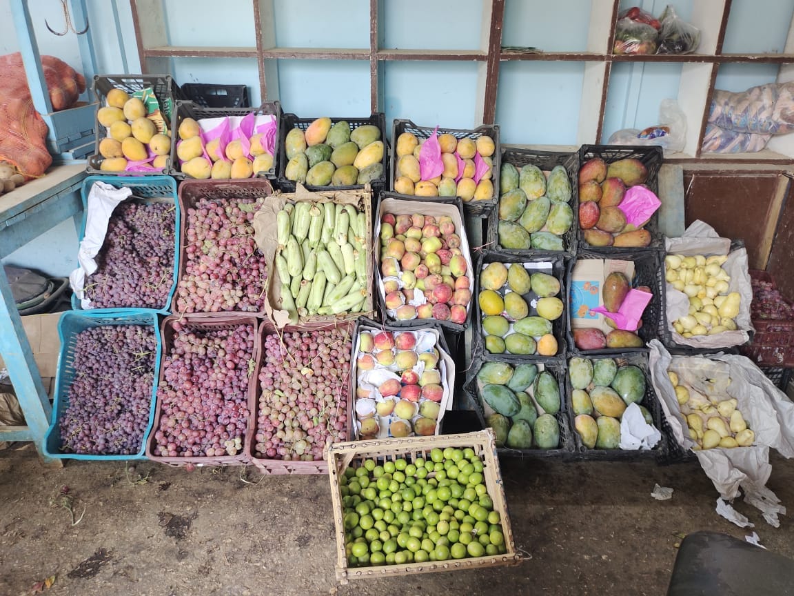 محافظ الوادي الجديد: استمرار طرح الخضروات والفاكهة بمنافذ ديوان عام المحافظة