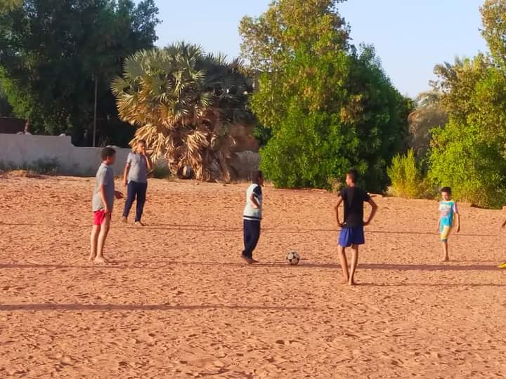 الأندية الصيفية تشهد أنشطة طلابية مختلفة وإقبال متميز في الوادي الجديد