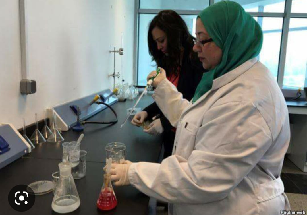 برنامج الهندسة الصناعية