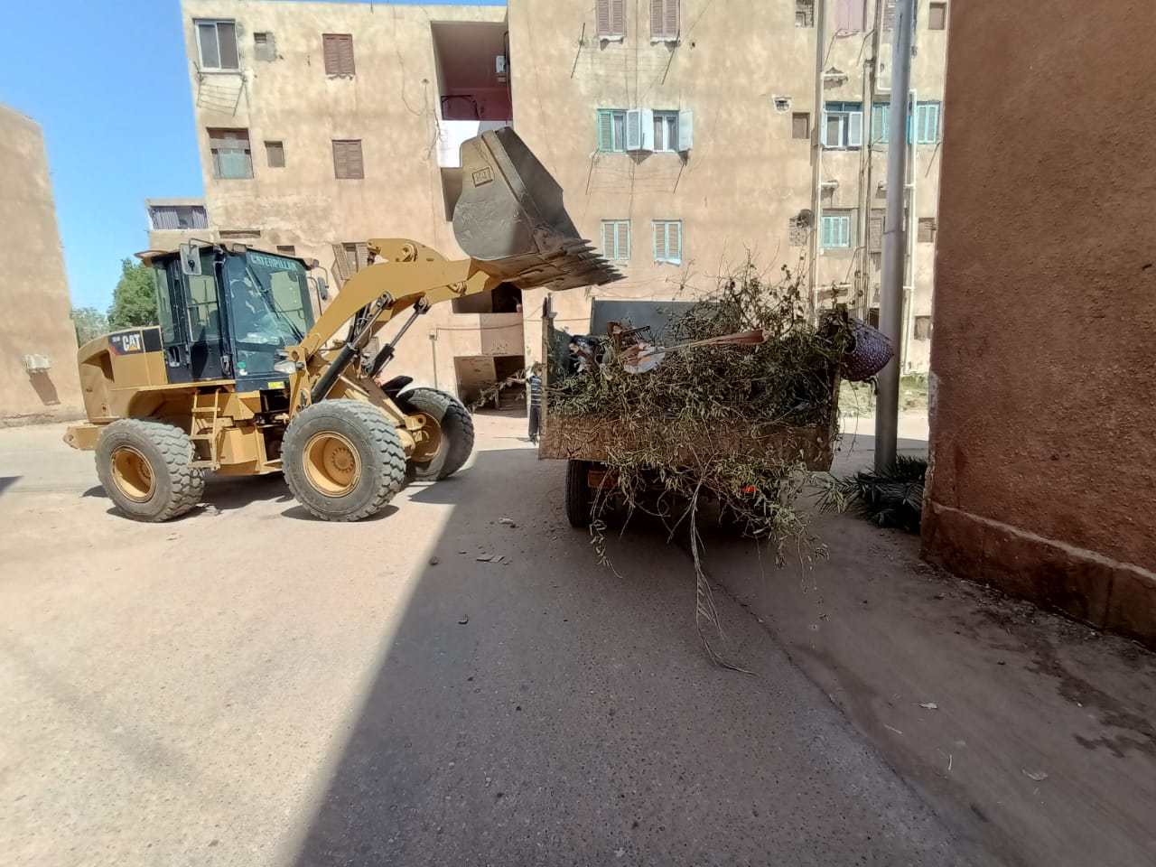 حملة إزالة القمامة والمخلفات والأشغالات والعشش من أسطح العمارات بالداخلة