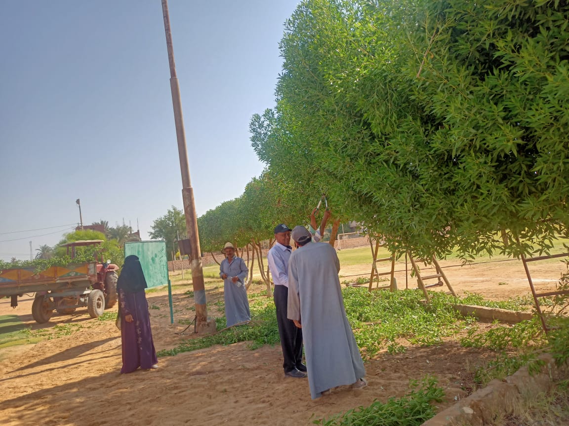 حملة إزالة القمامة والمخلفات والأشغالات والعشش من أسطح العمارات بالداخلة