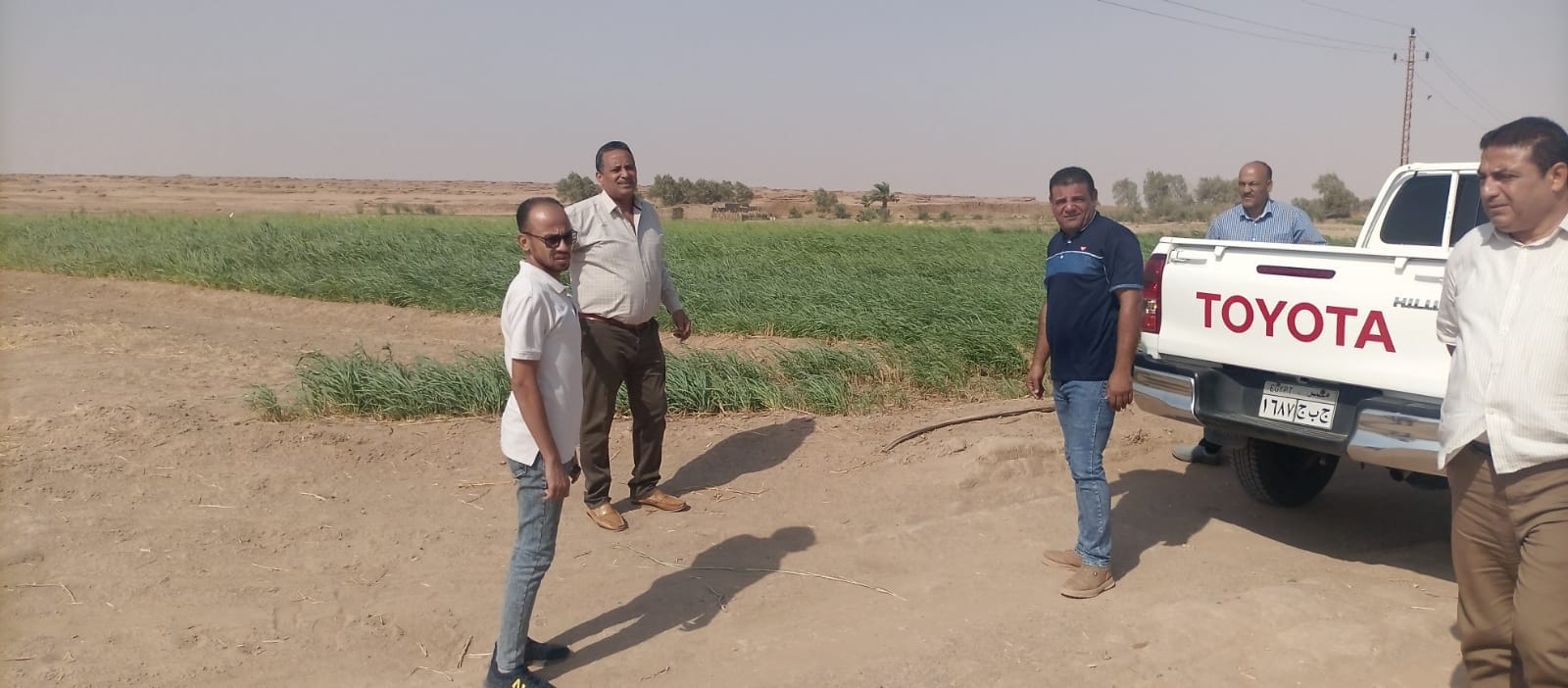 رصد وازالة فورية للتعديات علي اراضي الدوله بمركز باريس في الوادي الجديد