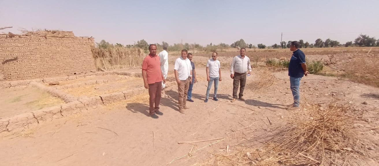 رصد وازالة فورية للتعديات علي اراضي الدوله بمركز باريس في الوادي الجديد