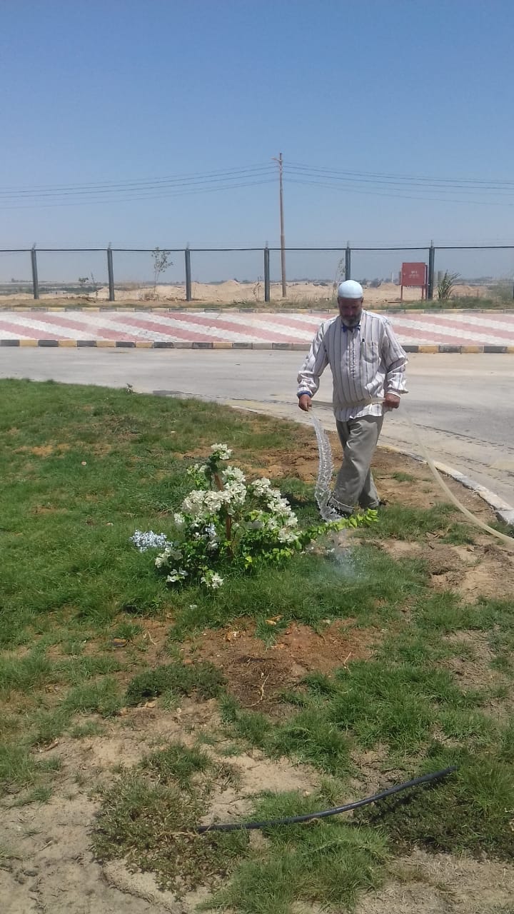 رى المسطح الاخضر بالمحطة الوسيطة للمخلفات الصلبة في دشلوط