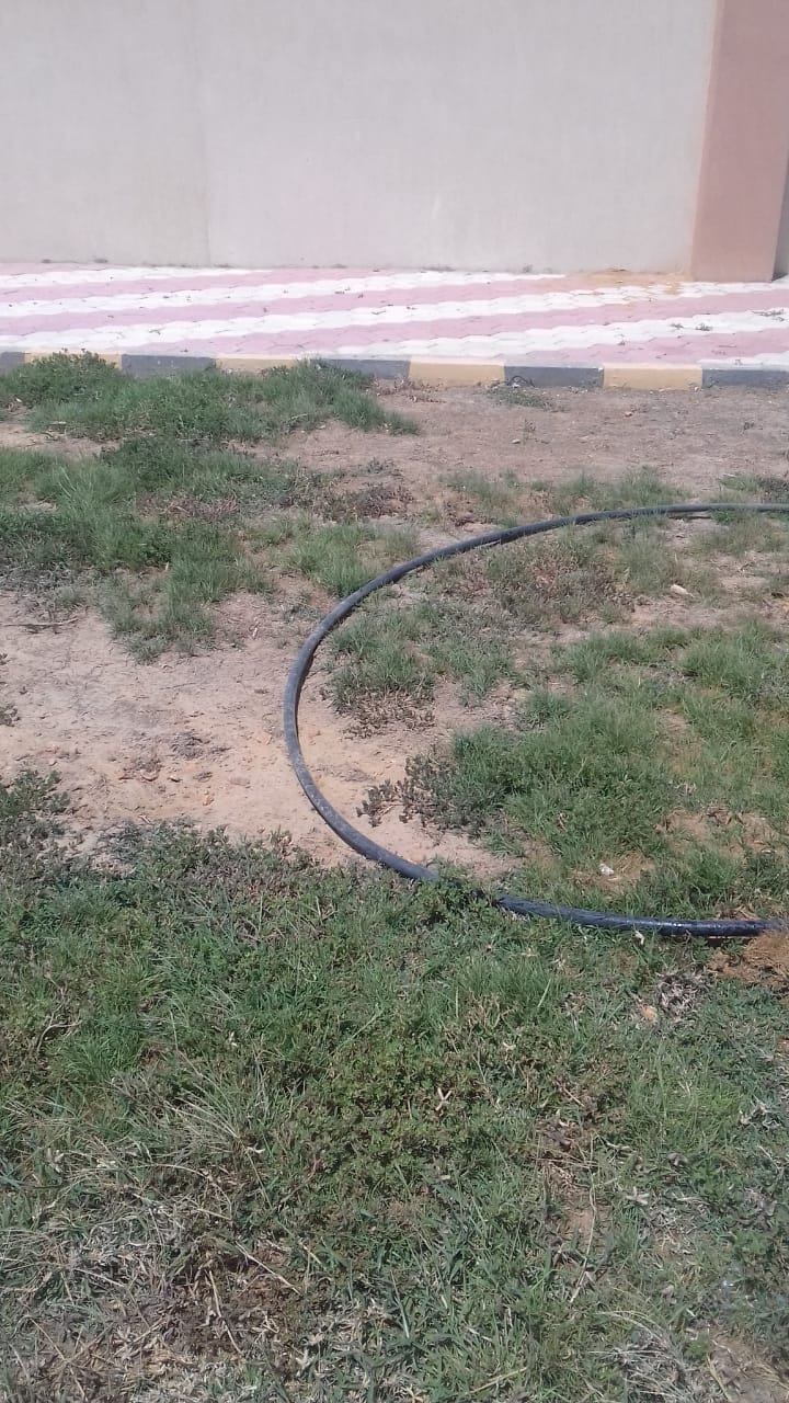 رى المسطح الاخضر بالمحطة الوسيطة للمخلفات الصلبة في دشلوط