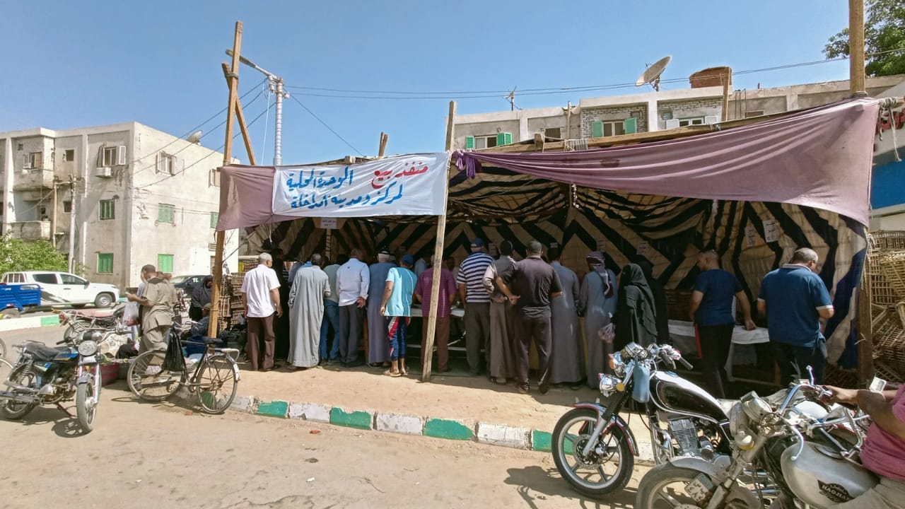طرح اللحوم الطازجة والخضروات والفاكهة في منافذ ديوان عام محافظة الوادي الجديد