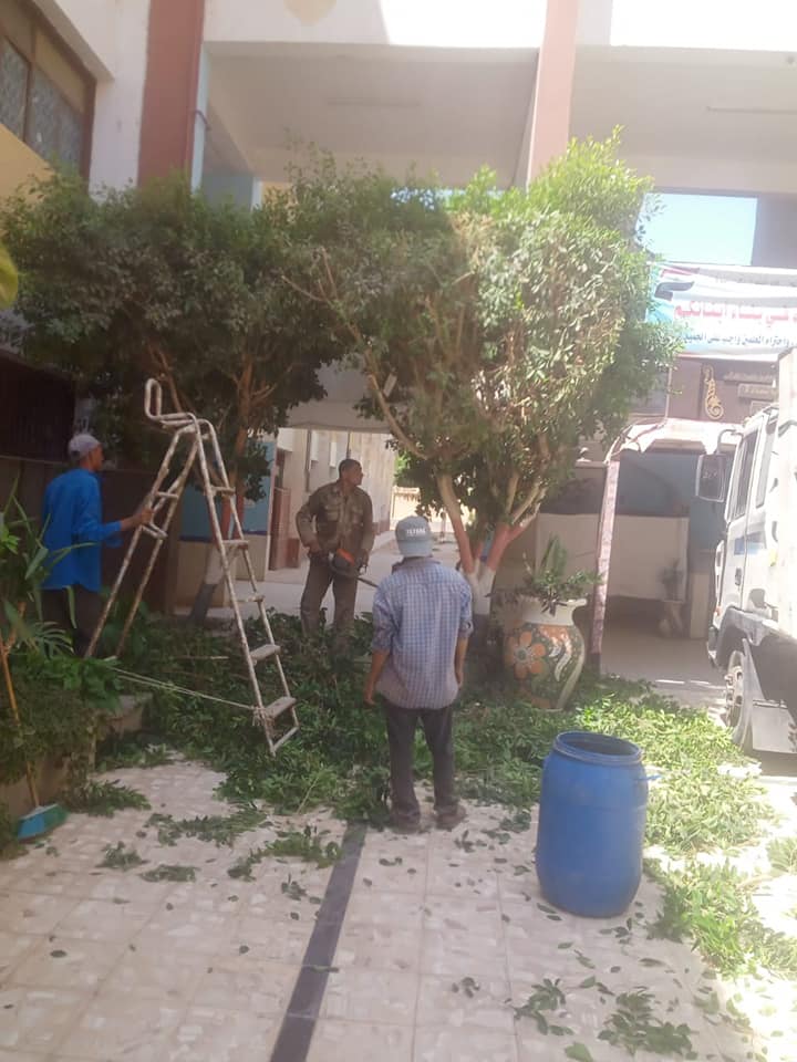 حي شرق اسيوط يقوم بتقليم وزراعة اشجار في مدرسه ناصر الثانوية بنين