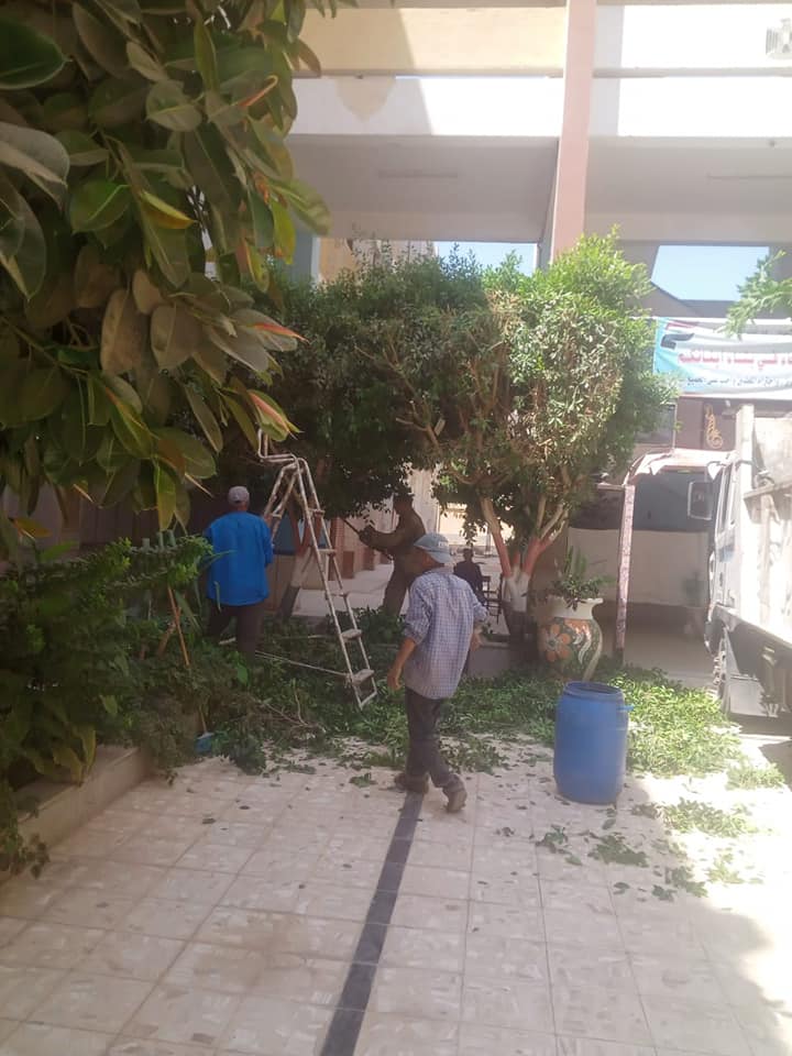 حي شرق اسيوط يقوم بتقليم وزراعة اشجار في مدرسه ناصر الثانوية بنين