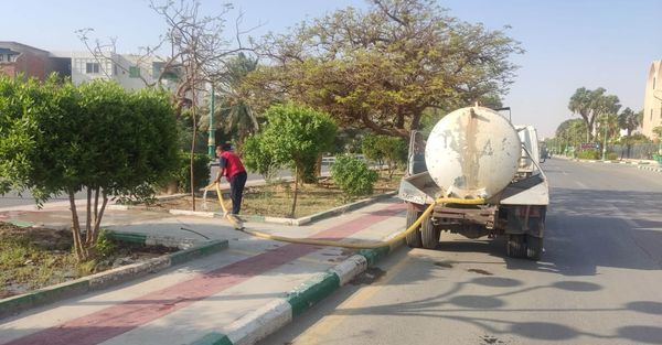 حملة لإزالة الأشجار المعروضة للخطر والمؤثرة على سلامة المواطنين وحركة المرور بالخارجة