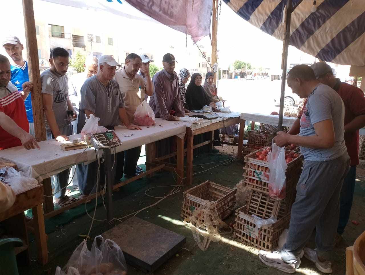 استمرار بيع الخضروات والفاكهة بمنفذ حى الزهور في مدينة موط