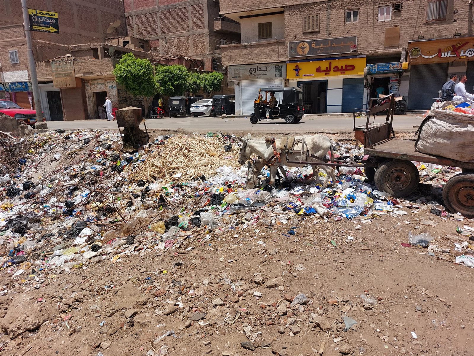 انتشار القمامة في شوارع اسيوط