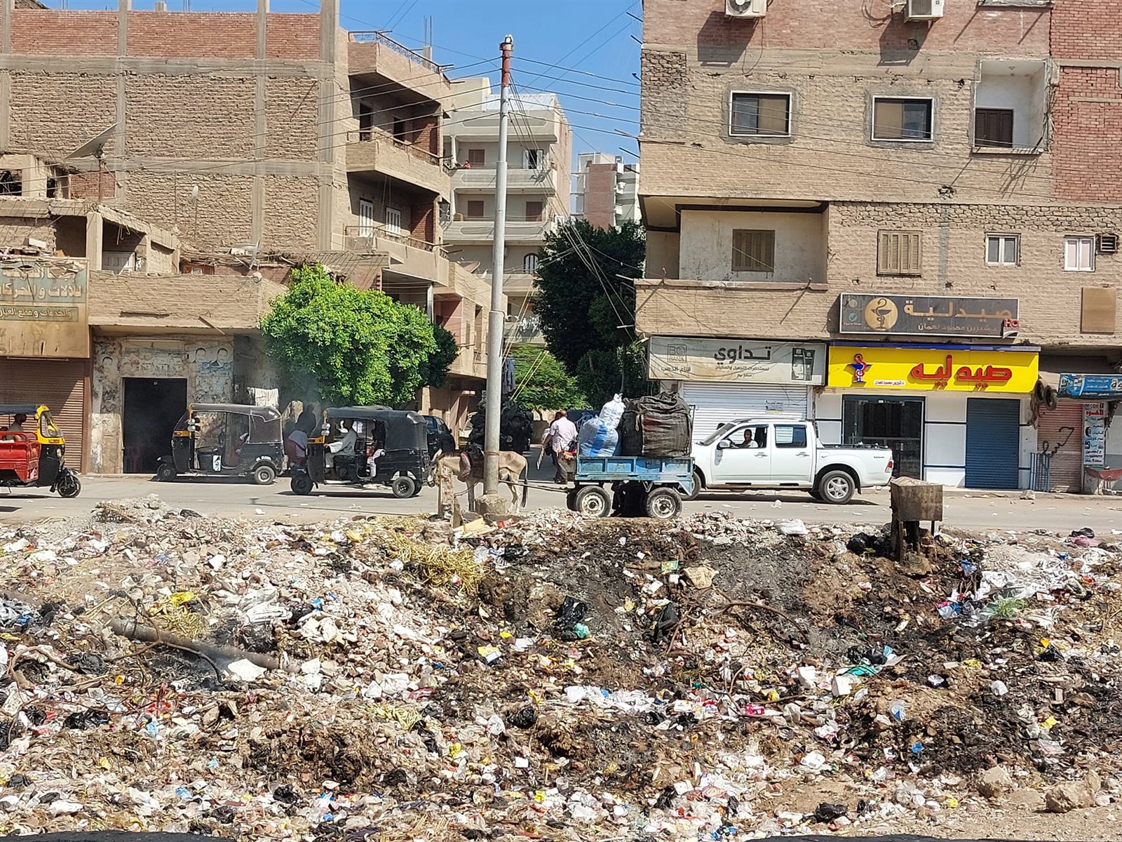 انتشار القمامة في شوارع اسيوط