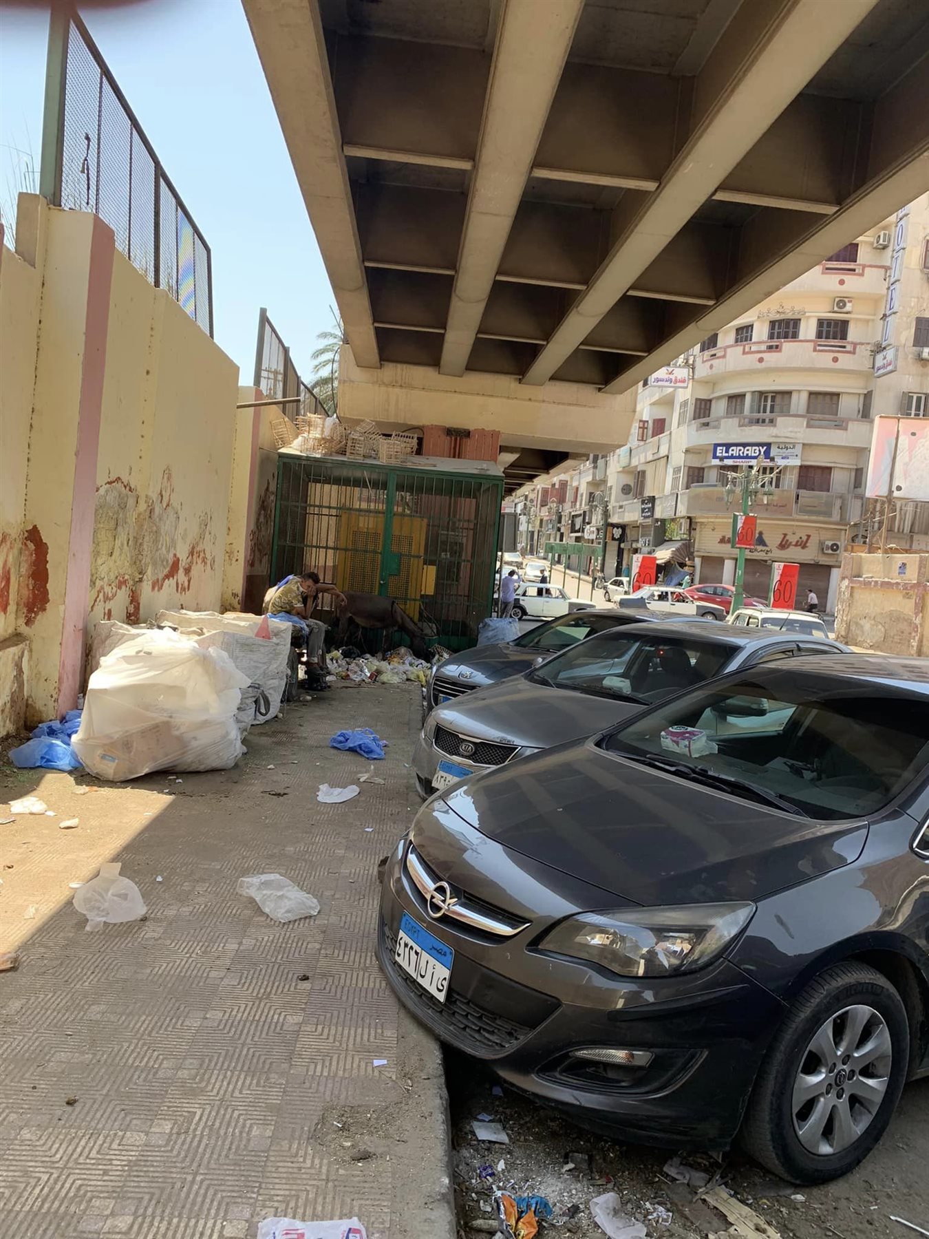 انتشار القمامة في شوارع اسيوط
