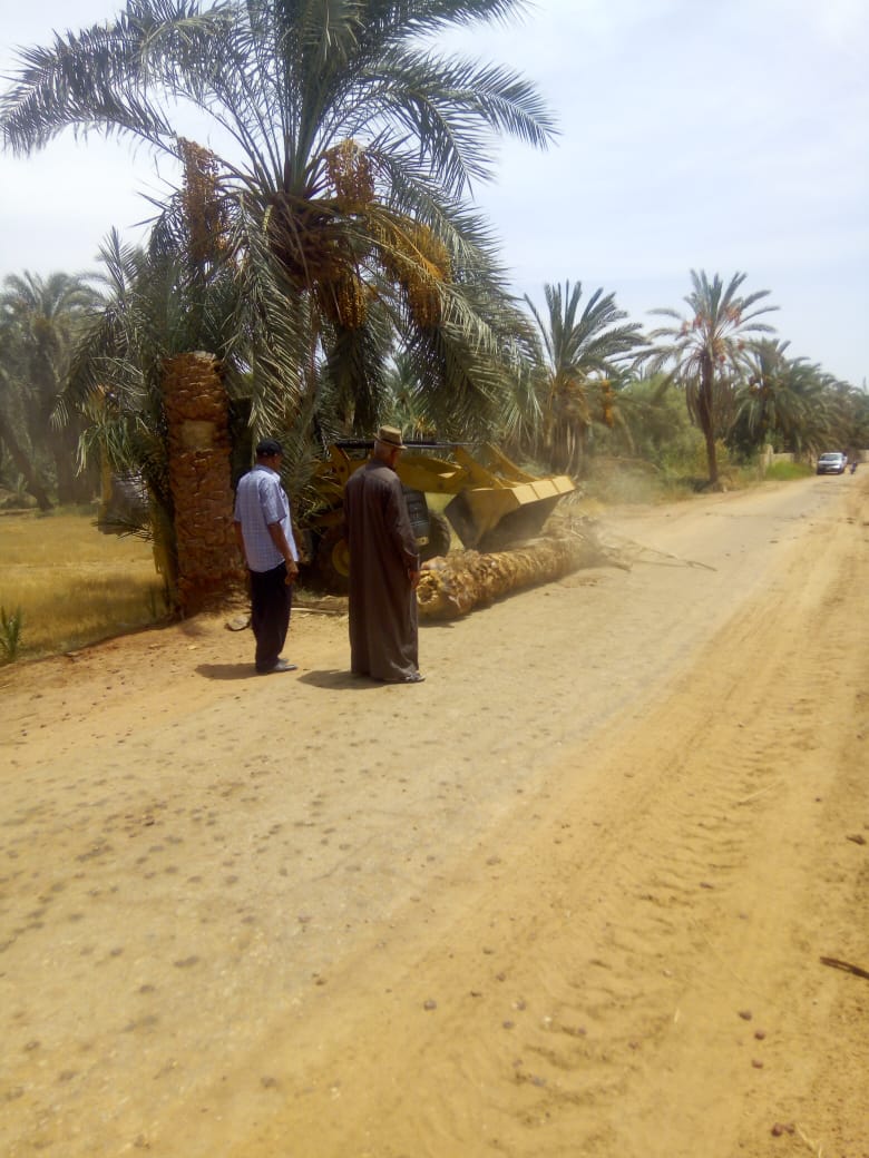 حملة لرفع مخلفات النخيل من داخل الكتلة السكنية بقرية الجديدة مركز الداخلة