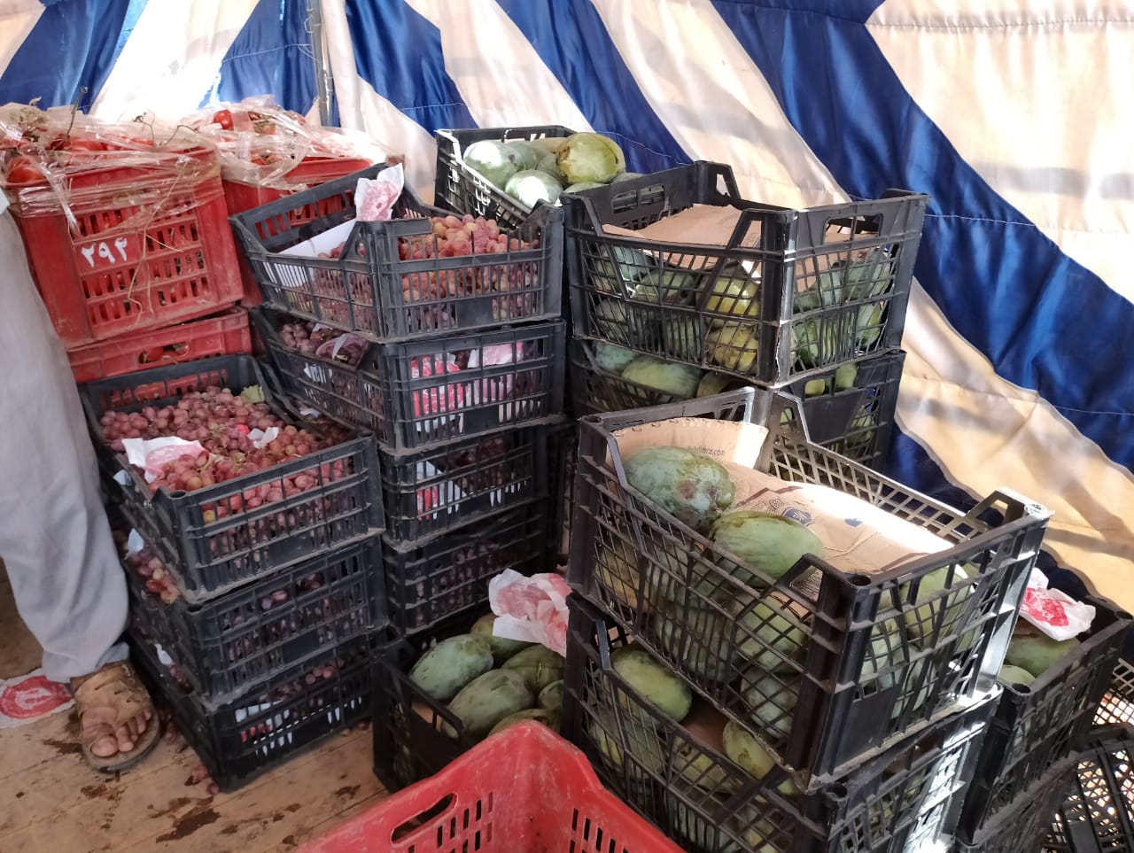 استمرار العمل بمنفذ بيع الخضروات والفاكهة بحى الزهور بمدينة موط