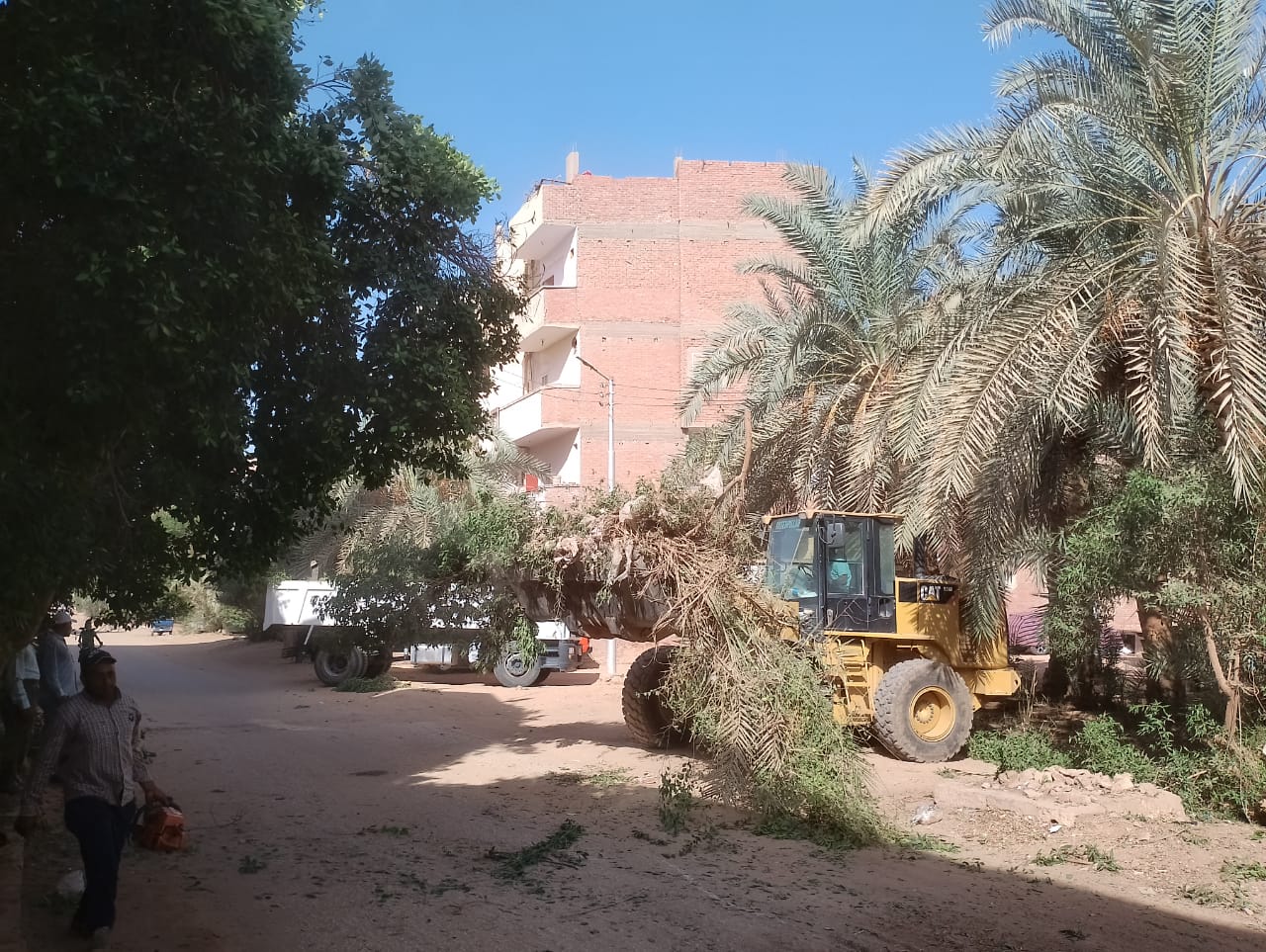 حملة لرفع الأتربة والمخلفات والتراكمات والقمامة بمركز الداخلة