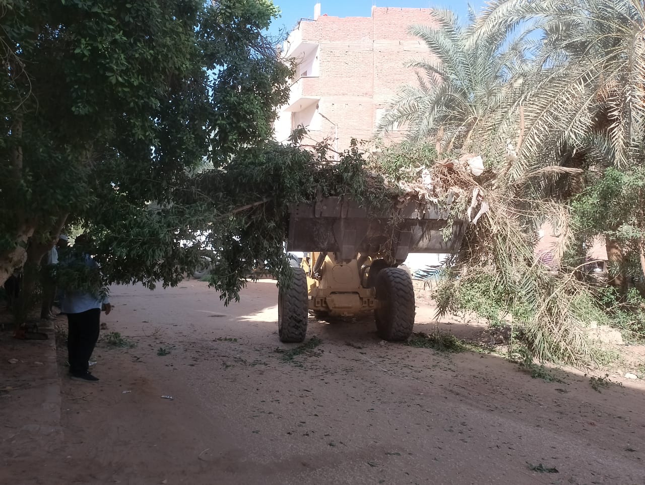 حملة لرفع الأتربة والمخلفات والتراكمات والقمامة بمركز الداخلة