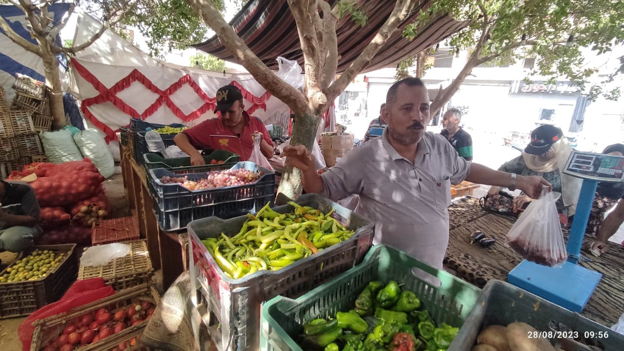 محافظ الوادي الجديد توفير السلع الغذائية بأسعار مخفضة للمواطنين بالمنافذ الثابتة والمتنقلة
