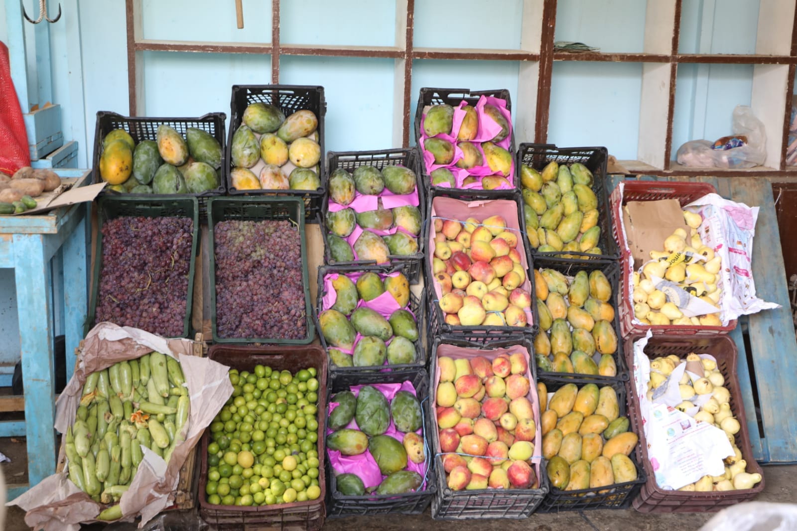 محافظ الوادي الجديد توفير السلع الغذائية بأسعار مخفضة للمواطنين بالمنافذ الثابتة والمتنقلة