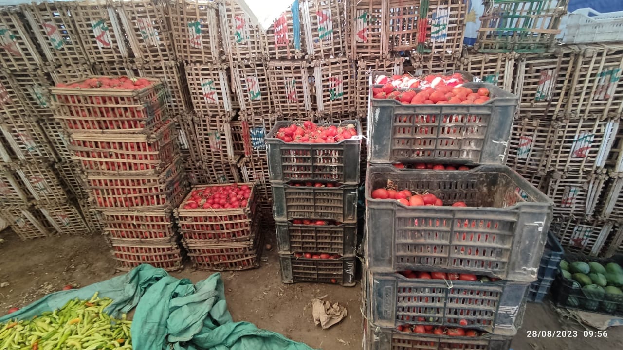 محافظ الوادي الجديد توفير السلع الغذائية بأسعار مخفضة للمواطنين بالمنافذ الثابتة والمتنقلة