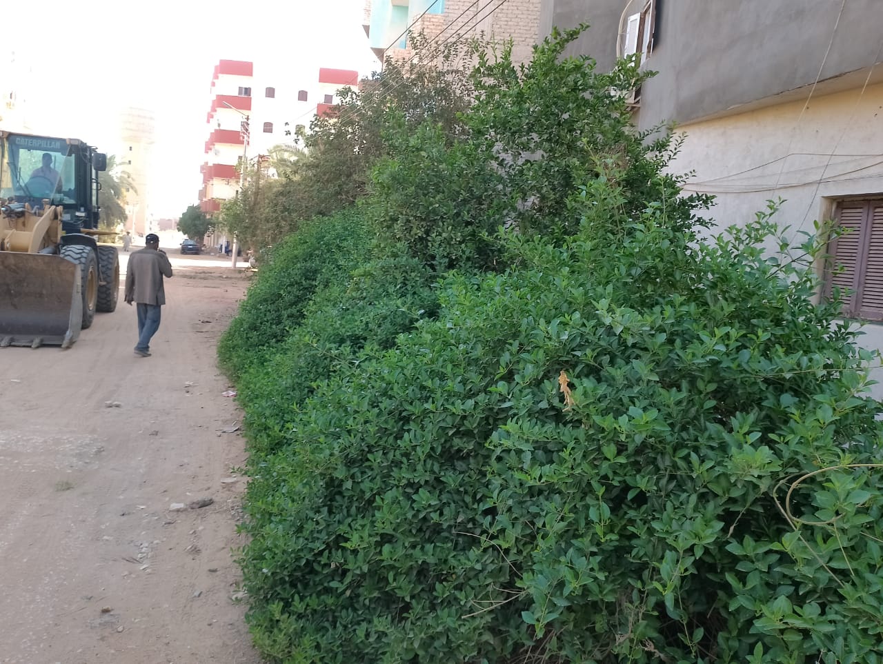 مركز الداخلة يواصل تنفيذ حملات النظافة وتحسين البيئة وازالة الاشغالات بمدينة موط