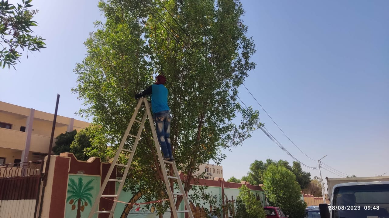 حملات نظافة مكثفة في الأحياء السكنية بالخارجة