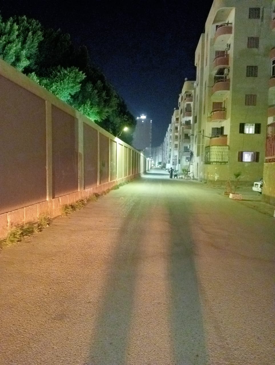 حي شرق أسيوط ينفذ عملية صيانة وإصلاح كابل الإنارة في شارع الأزهر