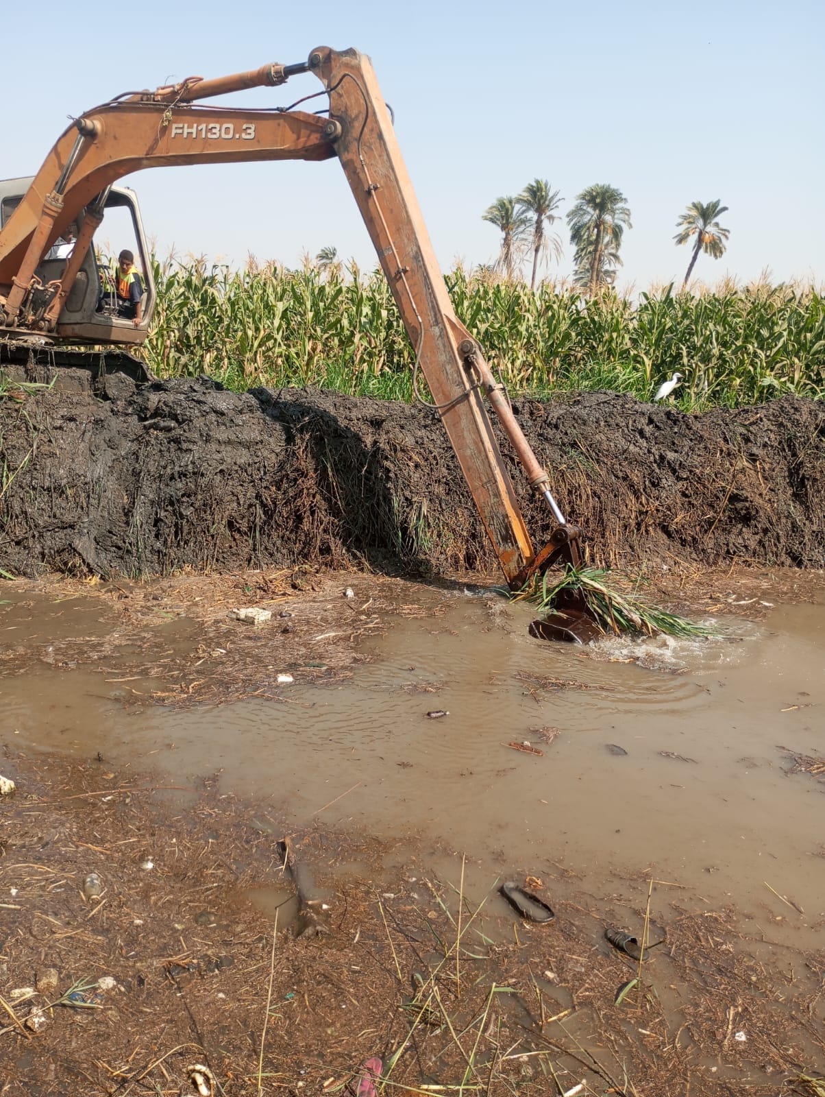 حملة لإزالة الحشائش لترع كوم الزرزور و قصر حيد وفرع زعبرة باسيوط