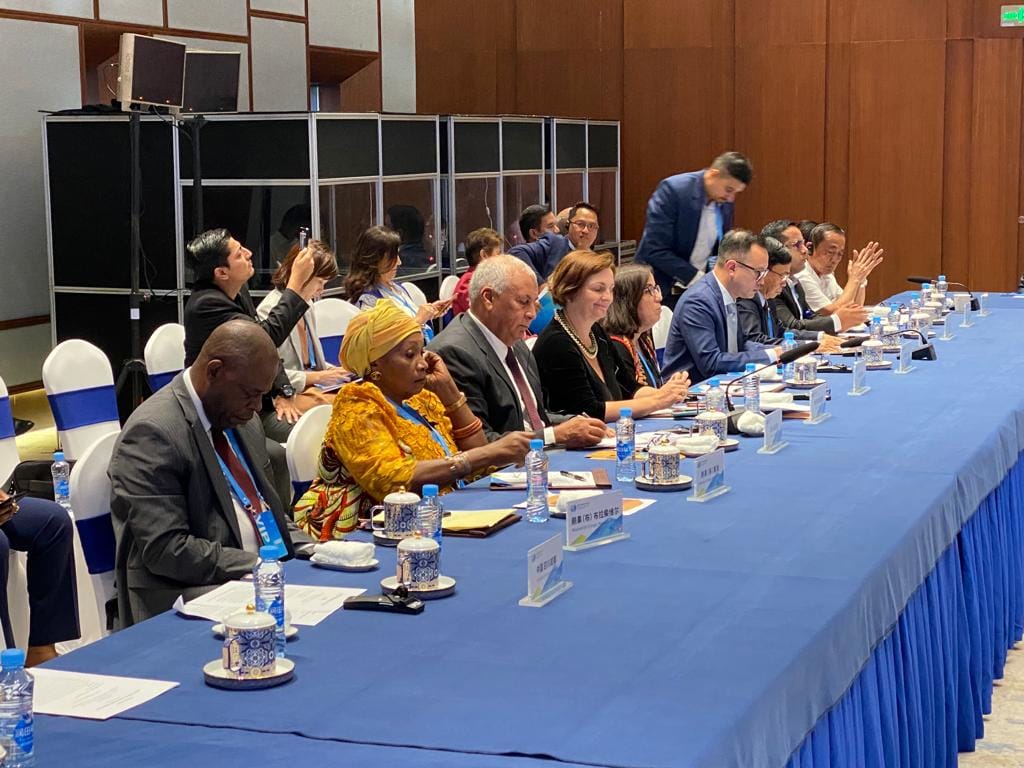 محافظ الوادي الجديد يشارك باحتفالية تأسيس 