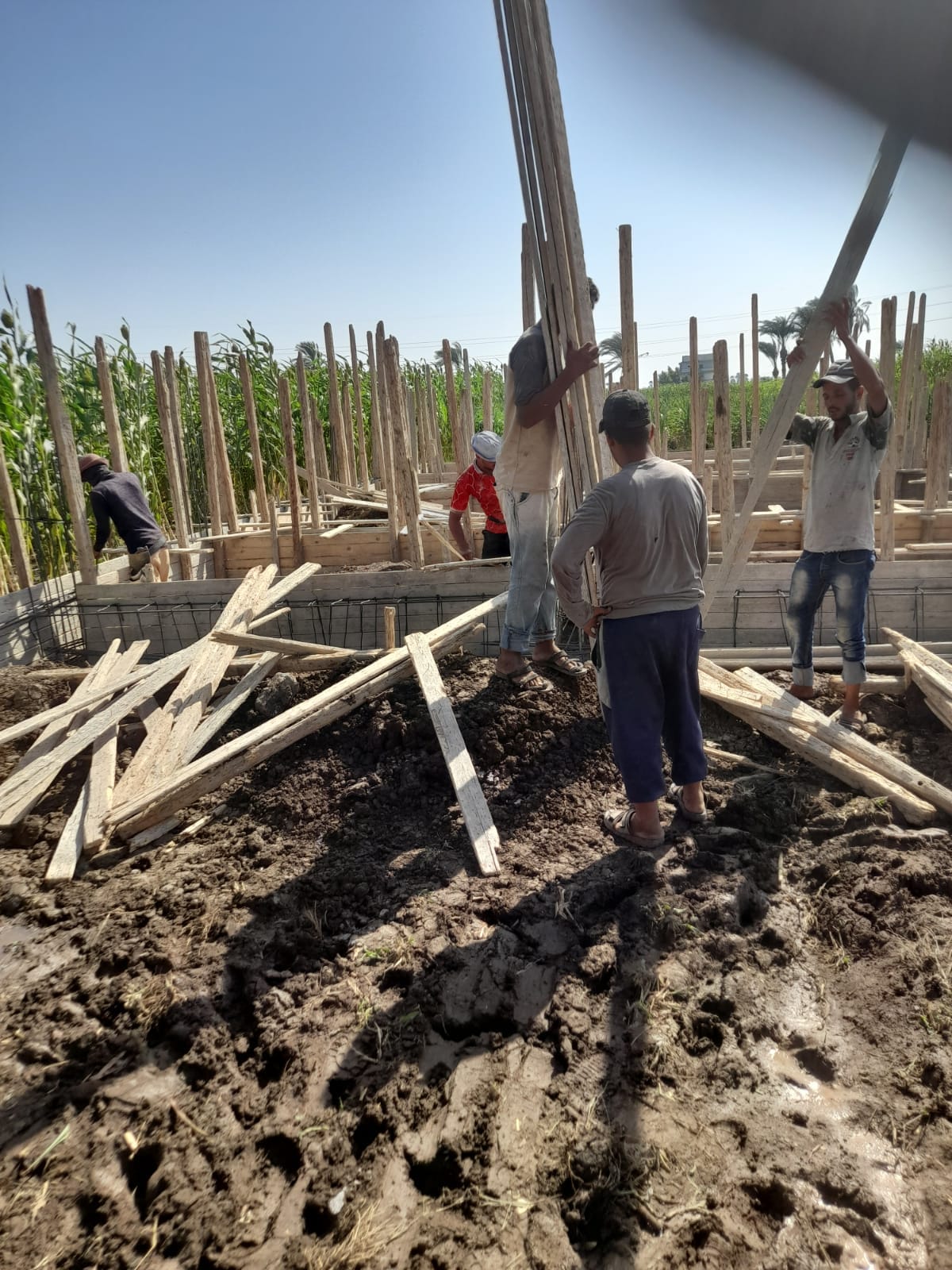 محلية الفتح تنفذ إزالة تعدي على أرض زراعية بحوض الشيخ موسى ببصرة