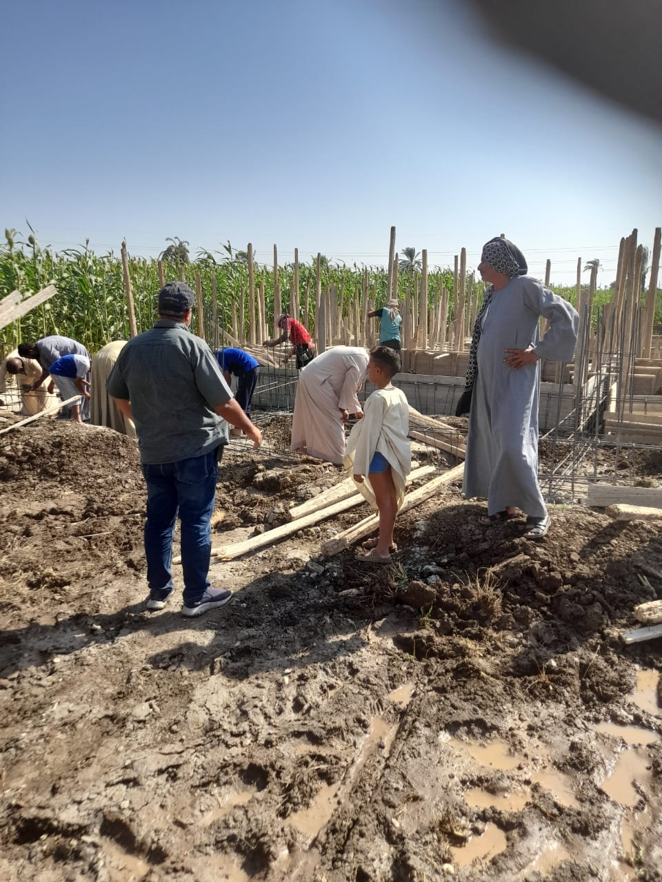 محلية الفتح تنفذ إزالة تعدي على أرض زراعية بحوض الشيخ موسى ببصرة