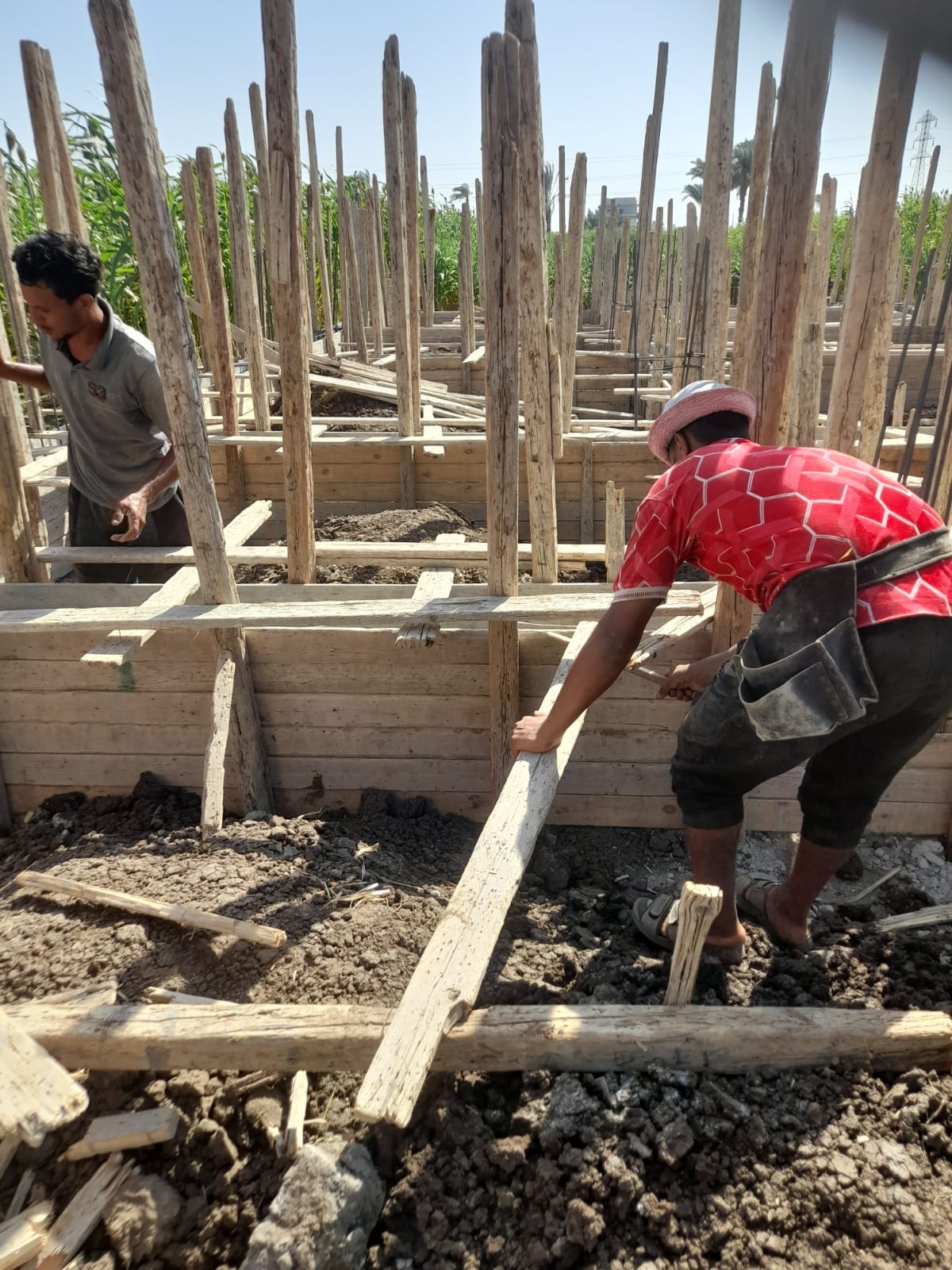 محلية الفتح تنفذ إزالة تعدي على أرض زراعية بحوض الشيخ موسى ببصرة