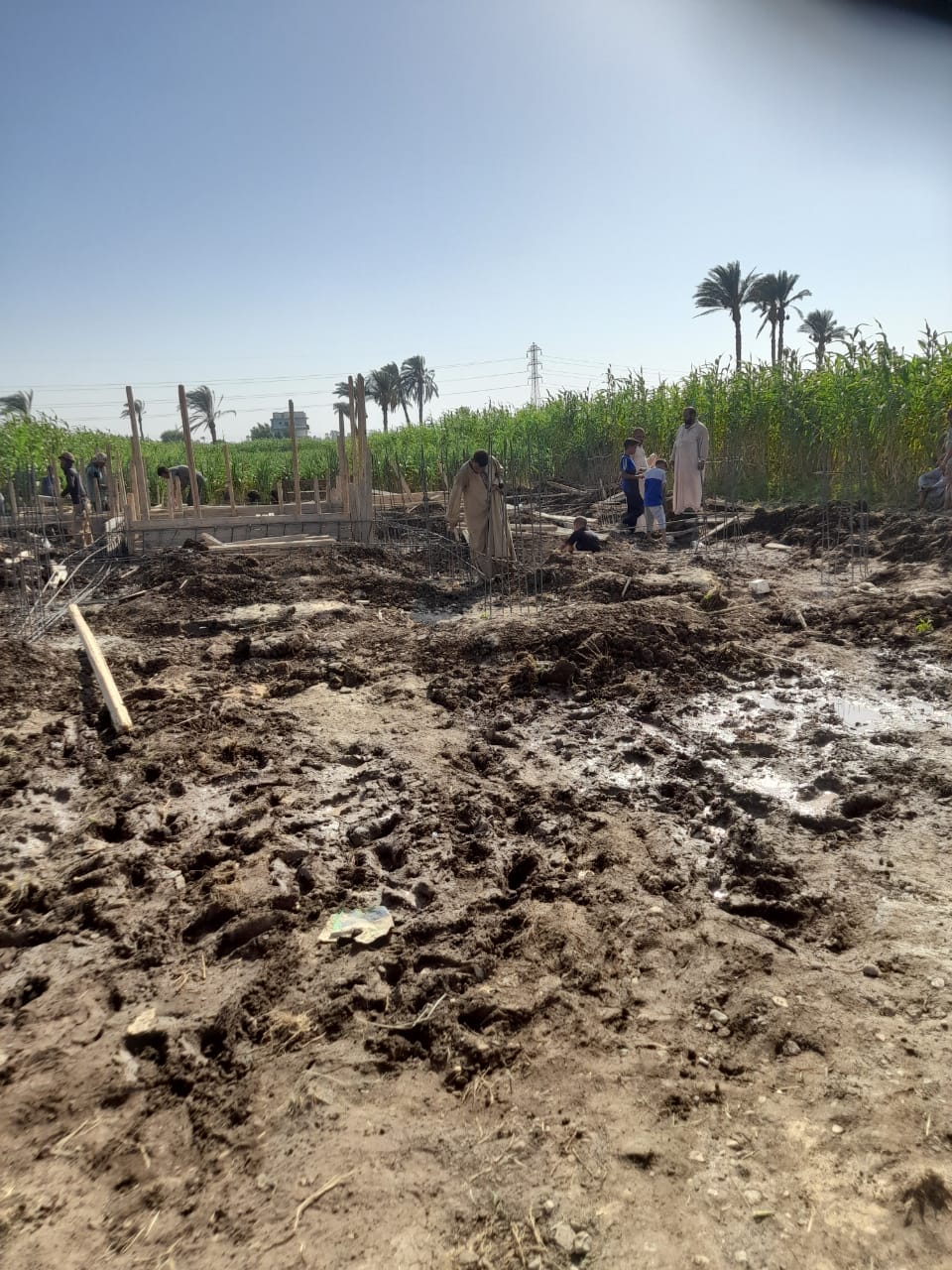 محلية الفتح تنفذ إزالة تعدي على أرض زراعية بحوض الشيخ موسى ببصرة