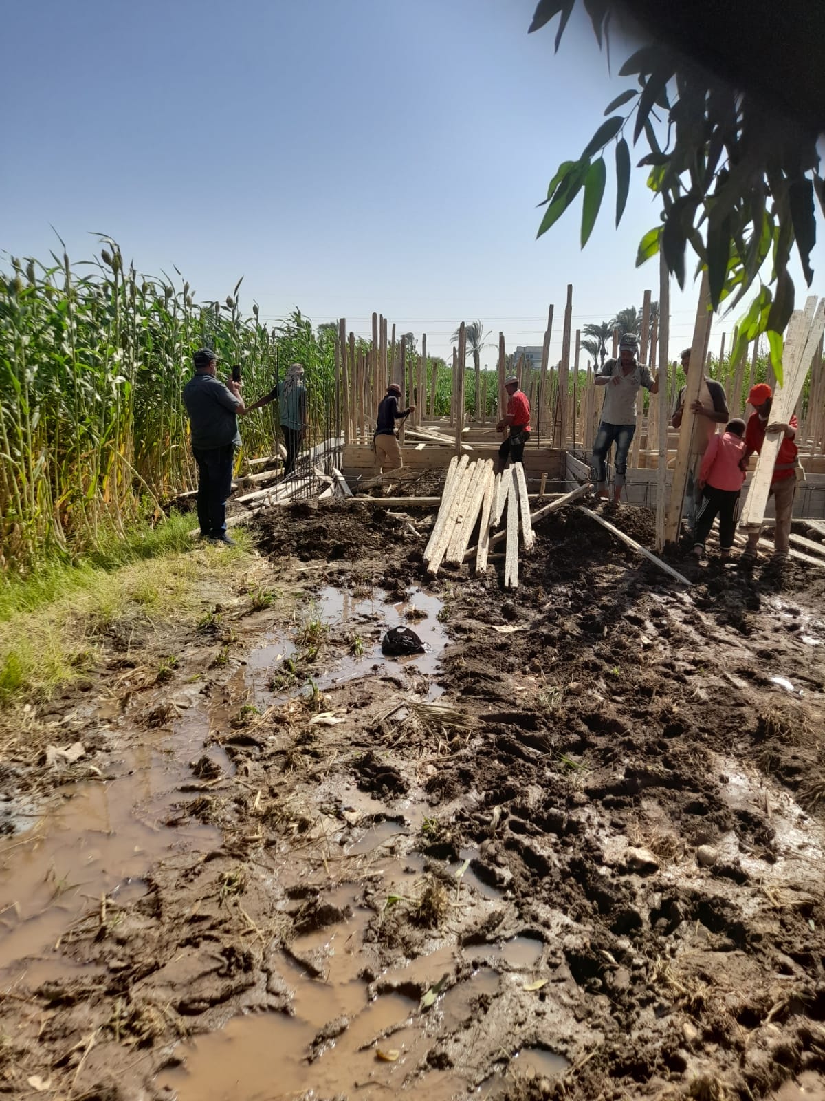 محلية الفتح تنفذ إزالة تعدي على أرض زراعية بحوض الشيخ موسى ببصرة