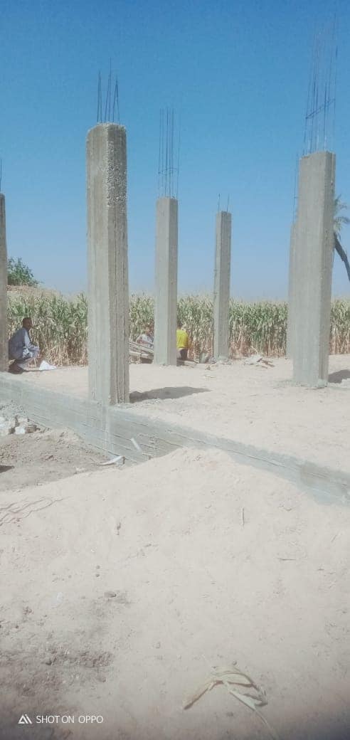 حملة لازالة تعديات علي ارض زراعية واملاك دولة في قري الفتح باسيوط