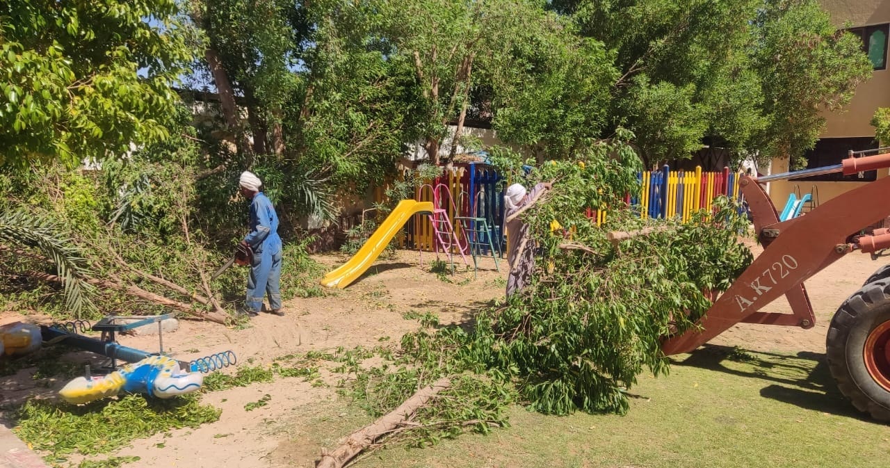 حملة لرفع القمامة وتحسين البيئة وقص الاشجار في مدينة الخارجة