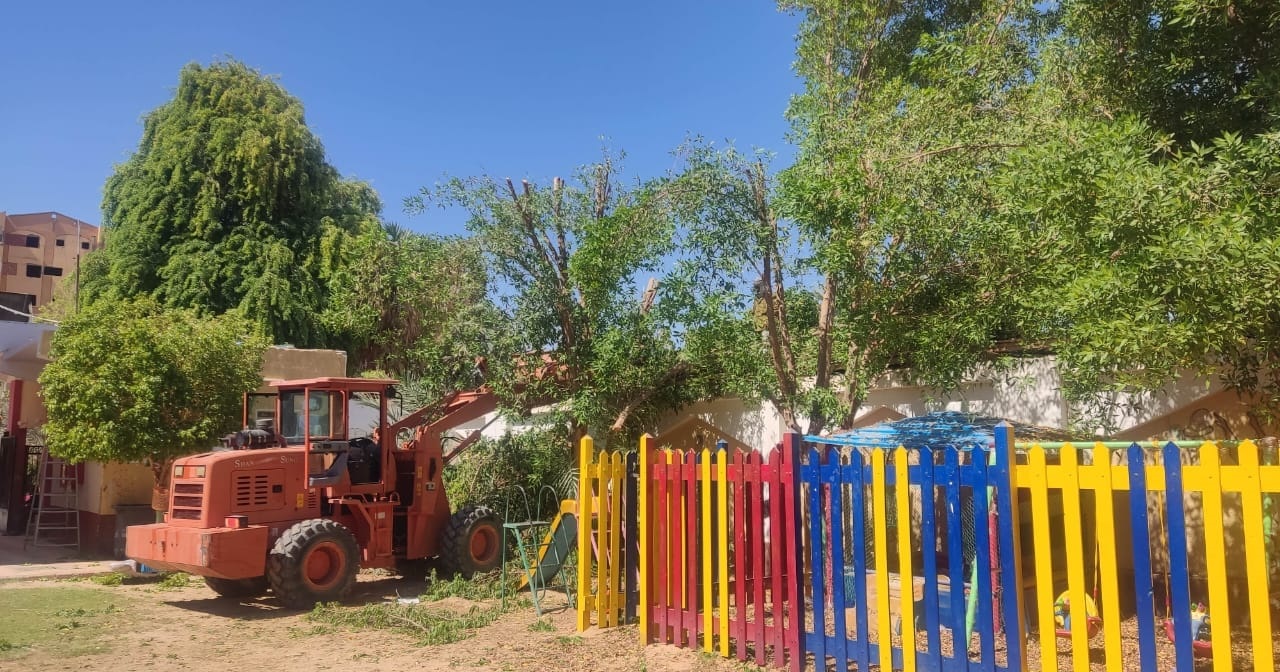 حملة لرفع القمامة وتحسين البيئة وقص الاشجار في مدينة الخارجة