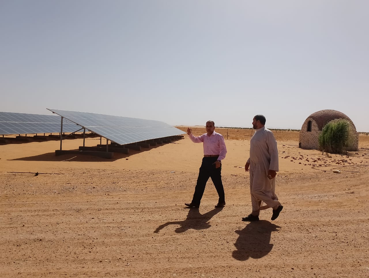 رئيس مركز ومدينة الداخلة يتفقد مشروع وقف النخيل مساحتة 3000 فدان