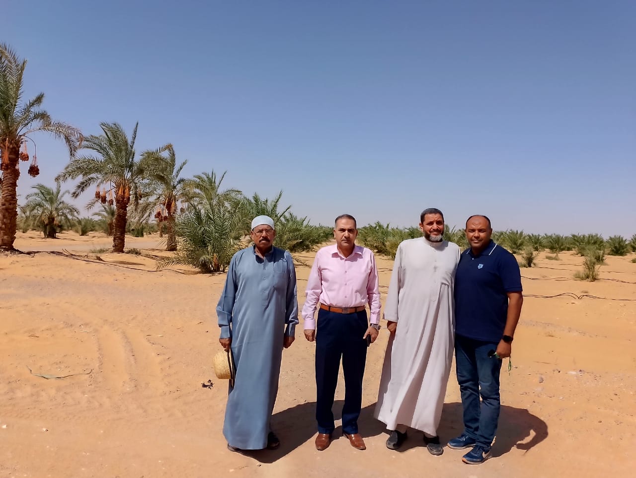 رئيس مركز ومدينة الداخلة يتفقد مشروع وقف النخيل مساحتة 3000 فدان