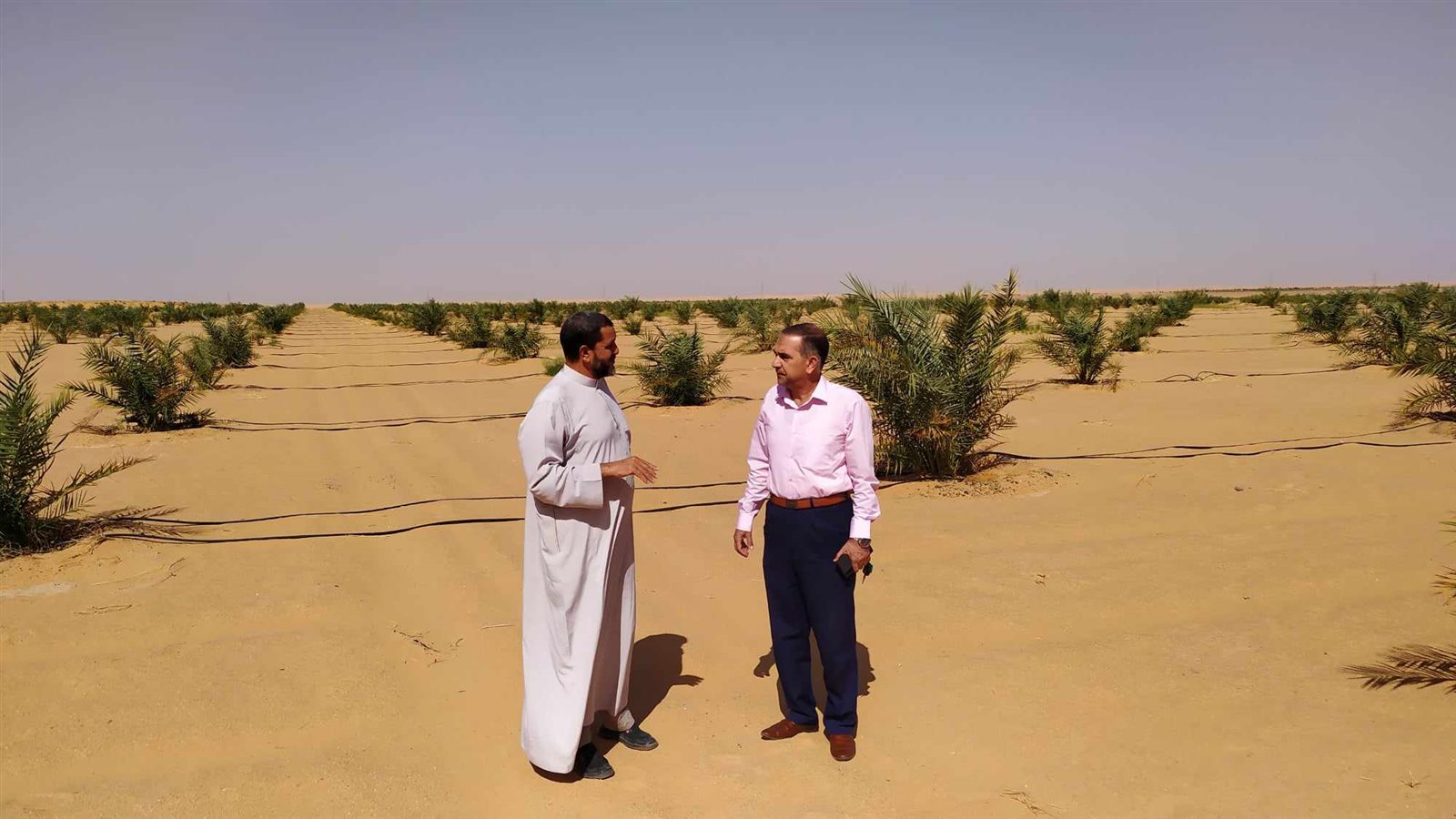 رئيس مركز ومدينة الداخلة يتفقد مشروع وقف النخيل مساحتة 3000 فدان