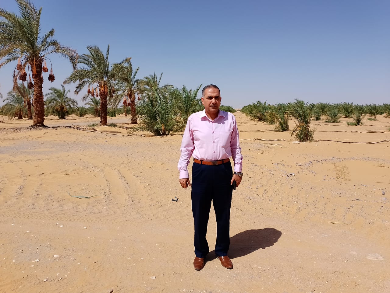 رئيس مركز ومدينة الداخلة يتفقد مشروع وقف النخيل مساحتة 3000 فدان