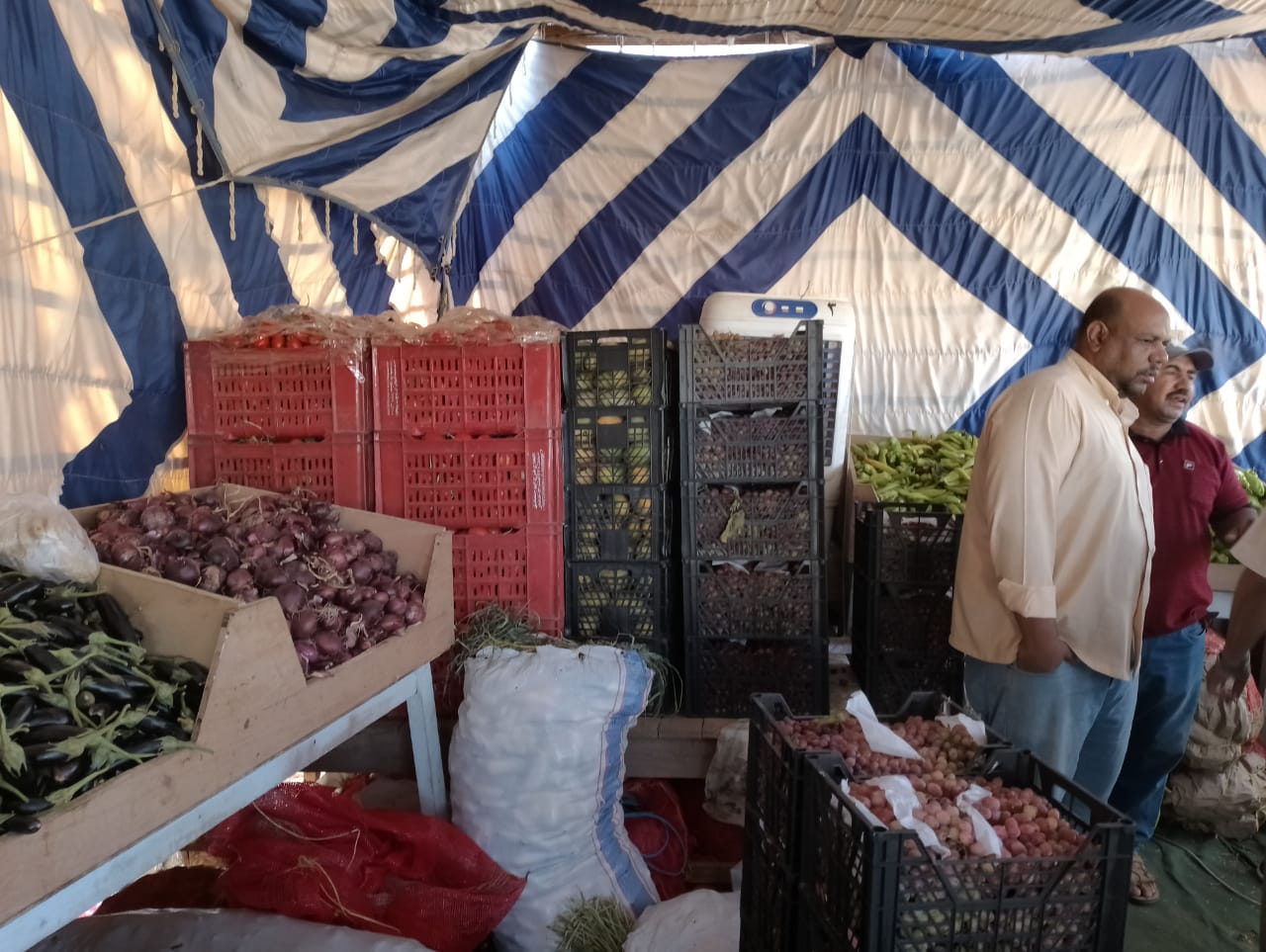 محلية الداخلة توفر بعض الخضروات الأساسية بأسعار مخفضة للمواطنين