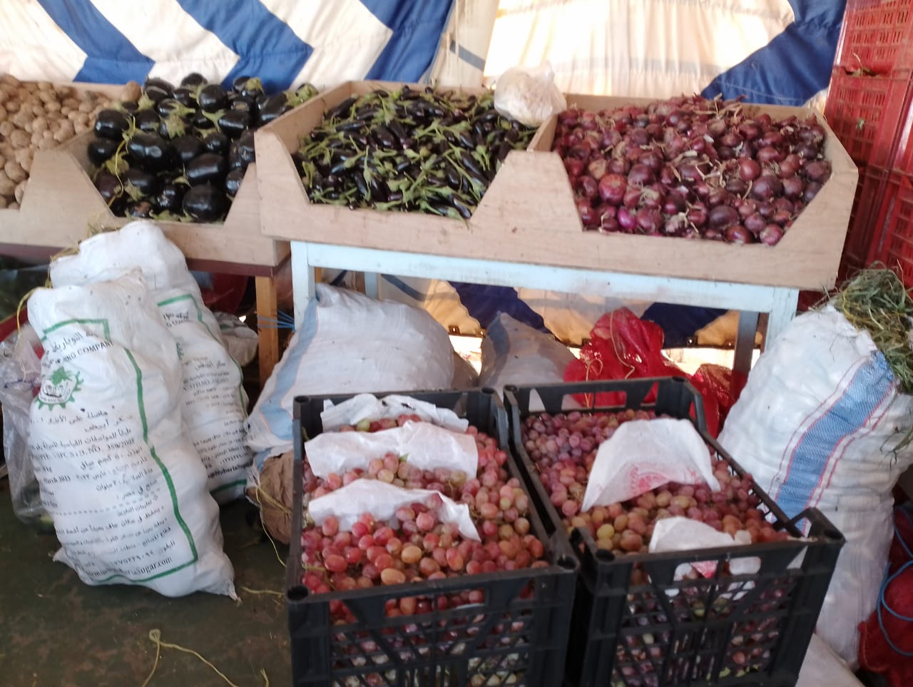 محلية الداخلة توفر بعض الخضروات الأساسية بأسعار مخفضة للمواطنين