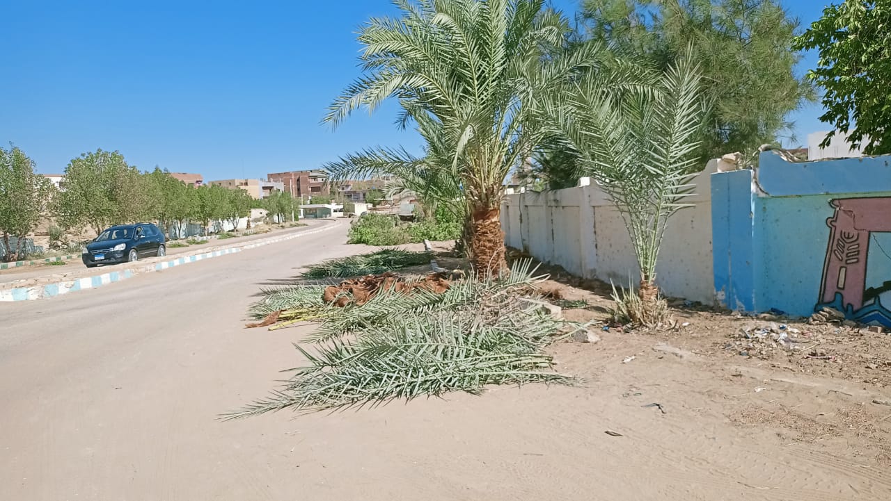 حملة لإزالة الأتربة والمخلفات والتراكمات والقمامة وجميع الاشغالات بمركز الداخلة