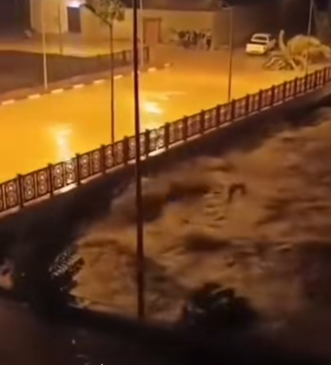 IMG_٢٠٢٣٠٩١٢_١٩٥٣٥٣